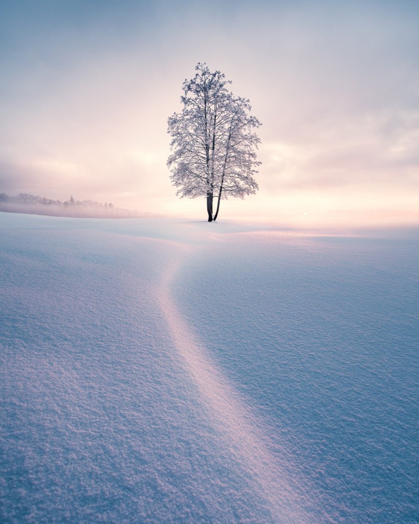 08-Mikko Lagerstedt_Winter Solitude