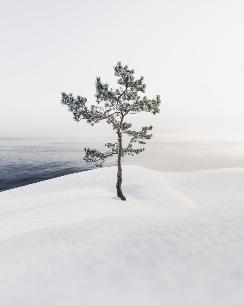 09-Mikko Lagerstedt_Resilience