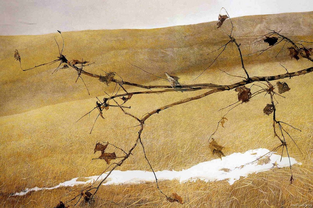 Andrew Wyeth "Long Limb" (1999)