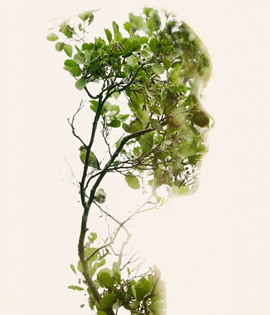 Christoffer Relander-04