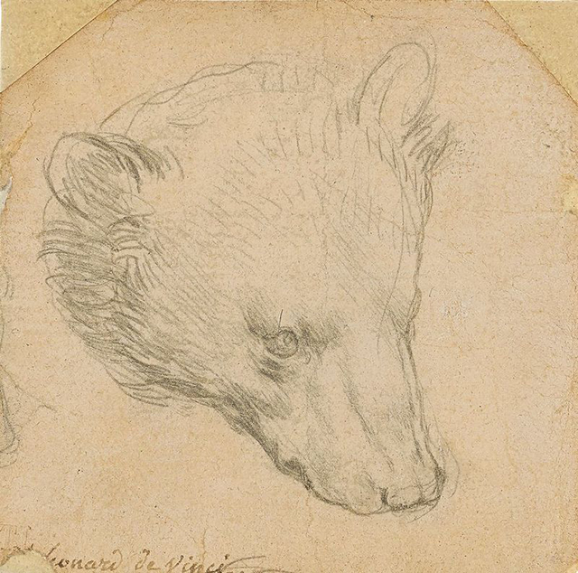 Леонардо да Винчи_Голова медведя (1480-е), фото - Christie’s