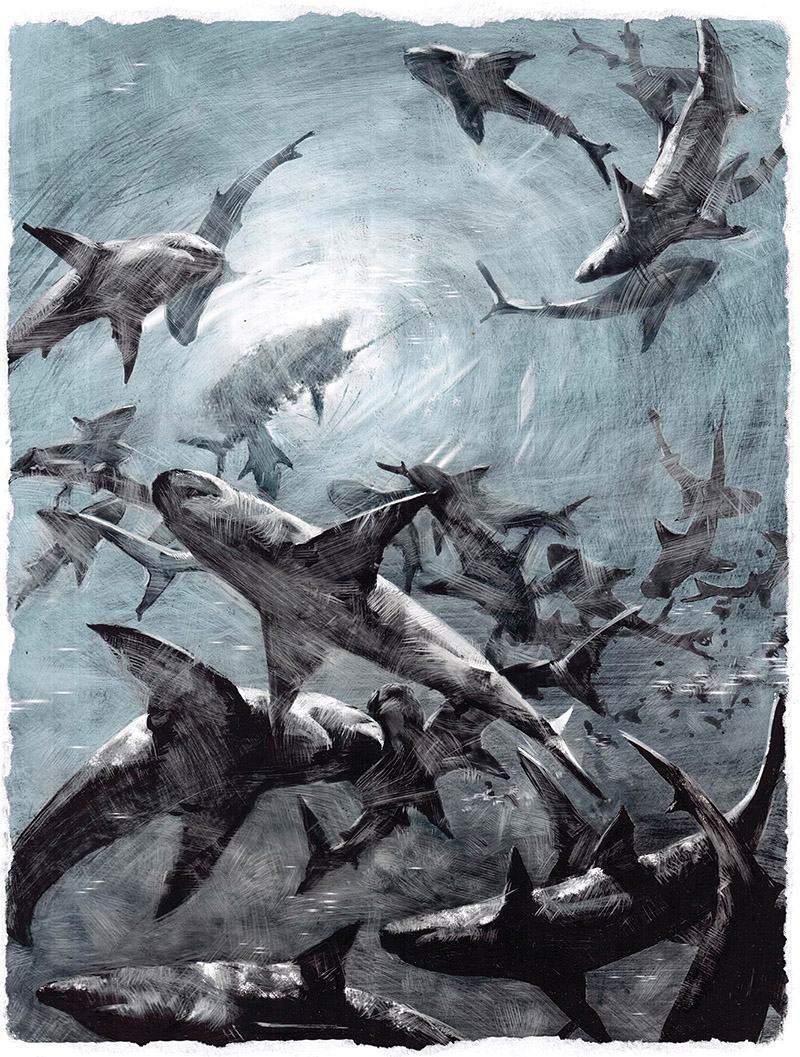 Старик и море, иллюстрация Славы Шульца-03