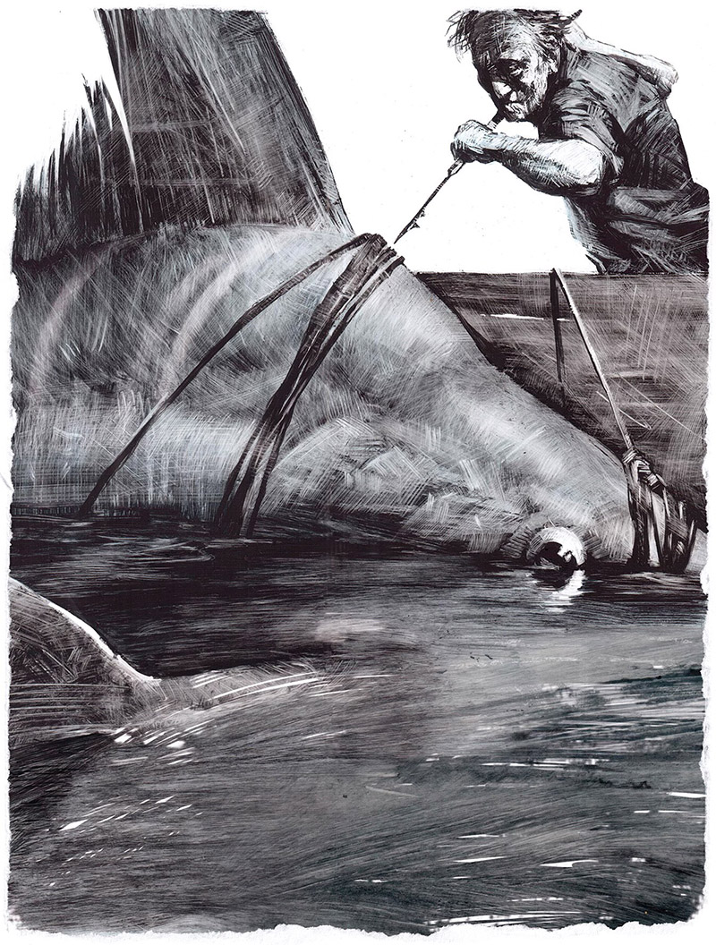 Старик и море, иллюстрация Славы Шульца-07