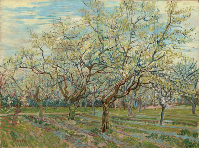 Картина Винсента Ван Гога «Белый сад» (1888), 60×81 см, Van Gogh Museum, Amsterdam (Vincent van Gogh Foundation).