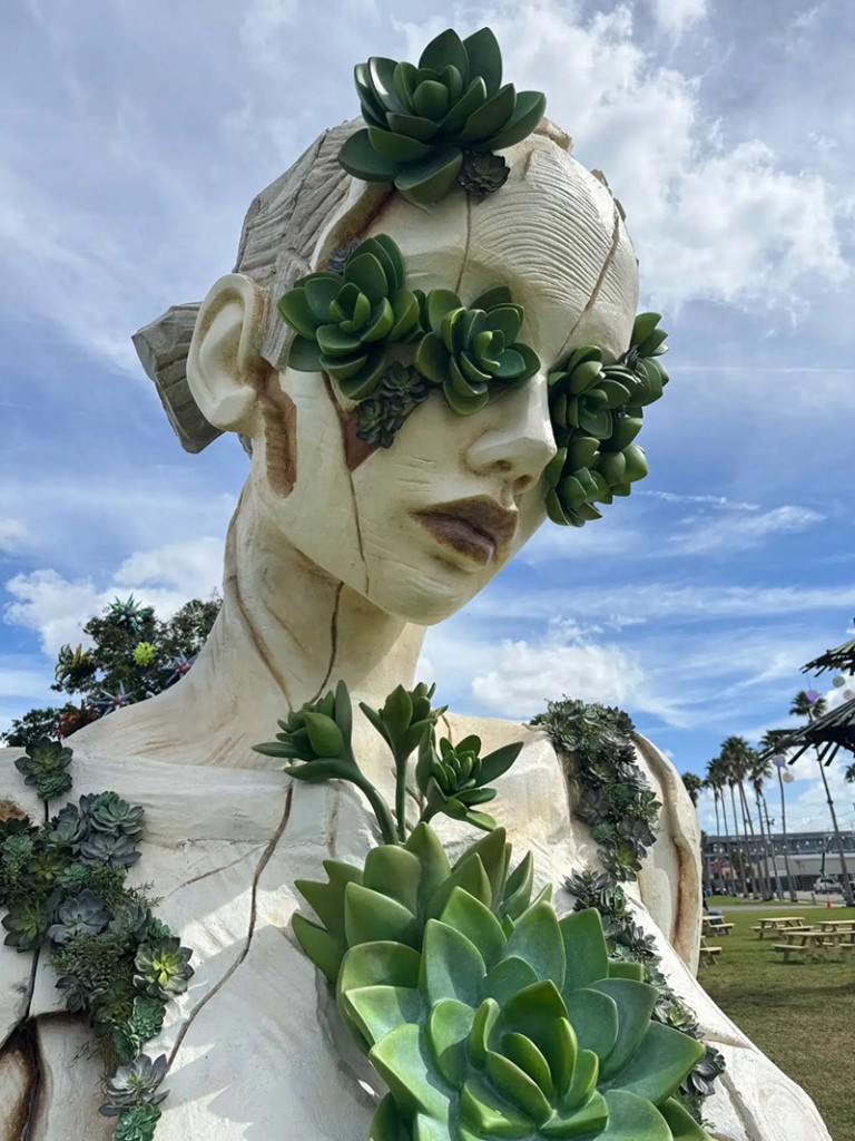 02-Daniel Popper_Aeonium