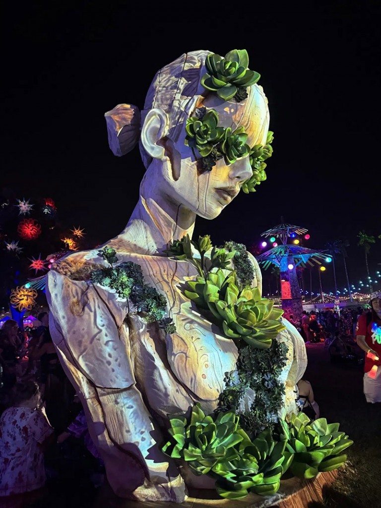 03-Daniel Popper_Aeonium