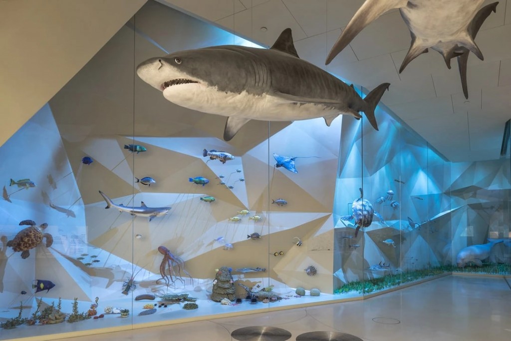 24- National Museum of Qatar_photo Danica O. Kus