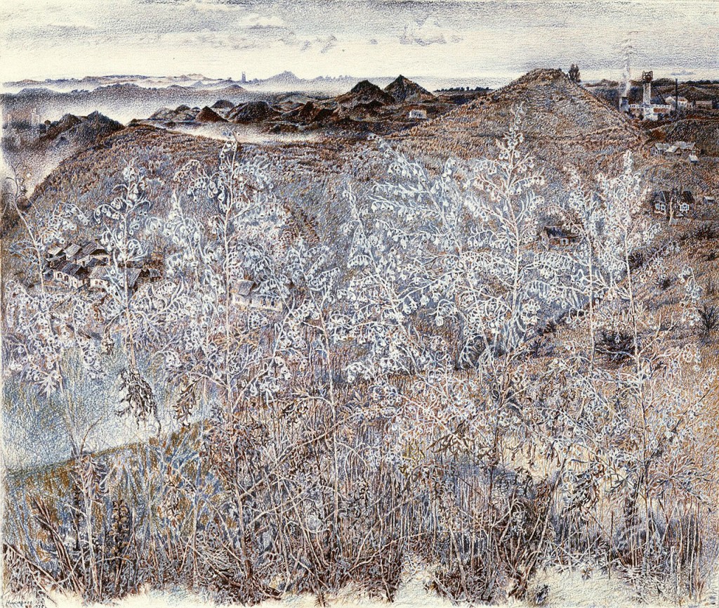 33-Станислав Никиреев - Полынь, цветные карандаши, 1978