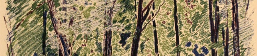 35-Станислав Никиреев - Зеленое кружево, цветные карандаши, 1965