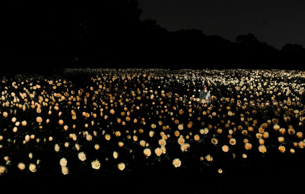 Life is the Small Sun Flickering in the Dark-02