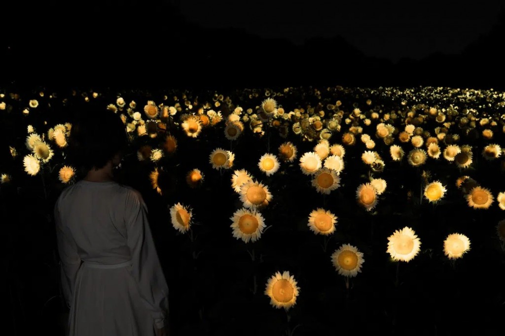 Life is the Small Sun Flickering in the Dark-03