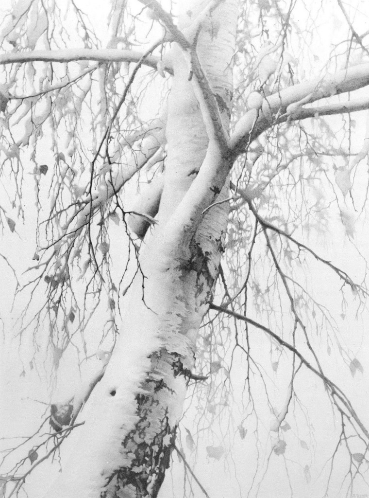 Денис Чернов - 02