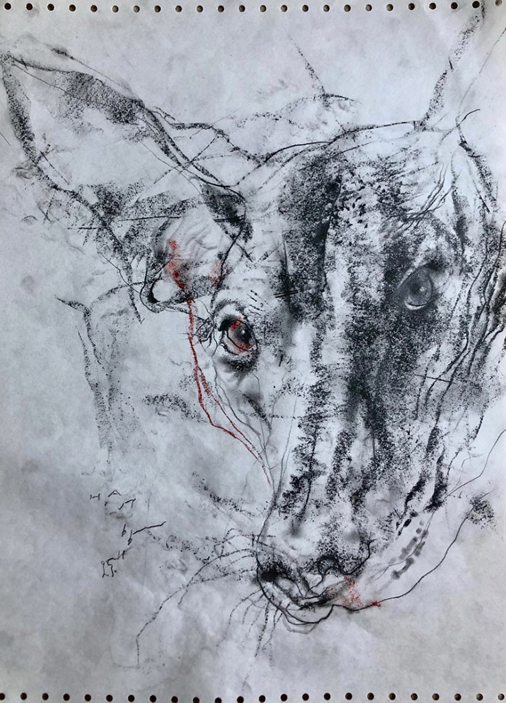 Нальби Бугашев-13