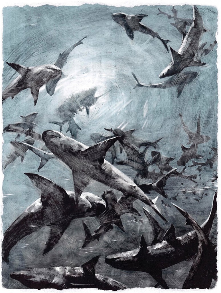 Старик и море, иллюстрация Славы Шульца-03