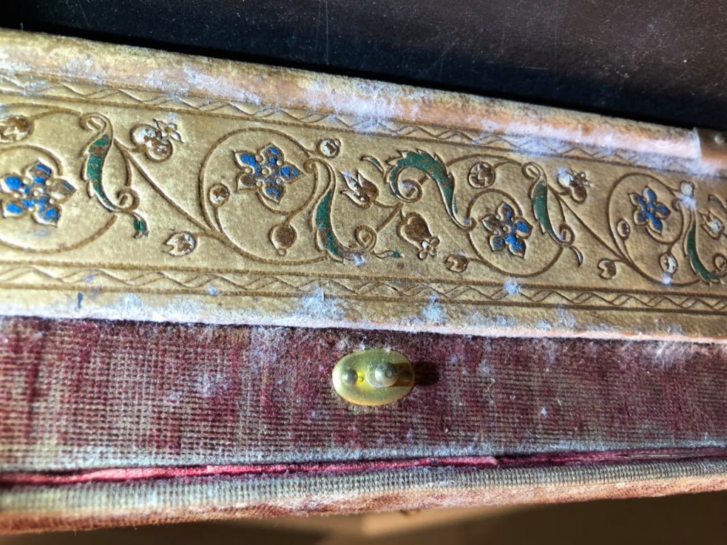 Фрагмент гобелена, пораженный плесенью Aspergillus section restricti